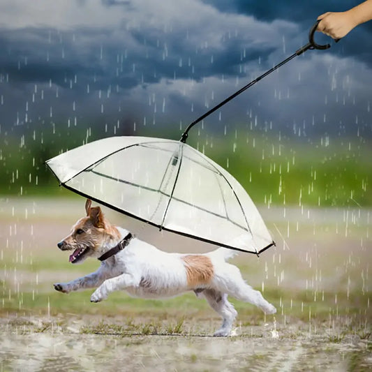 PawShield Umbrella™